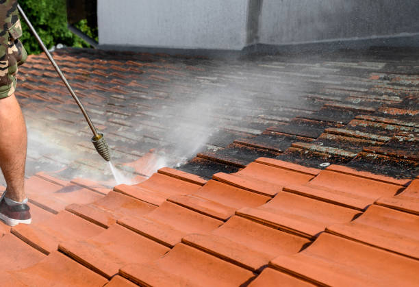 Local Pressure Washing Services in Millwood, WA